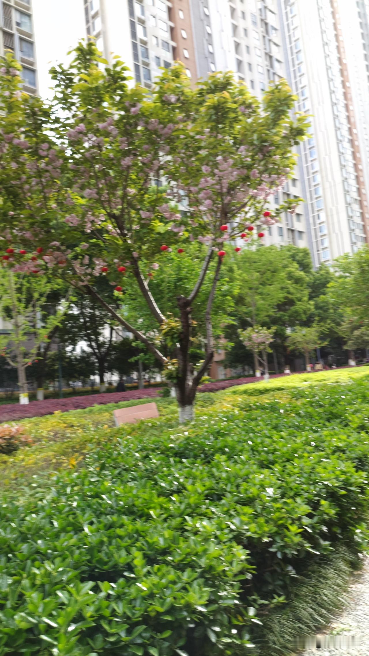 有没有好看的风景图片分享用欣赏的眼光看世界处处是美景。用赞美的文字去写世界字字都