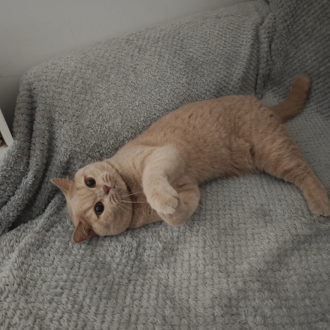 原来你不是长得黑，只是🍎拍出来黑😓