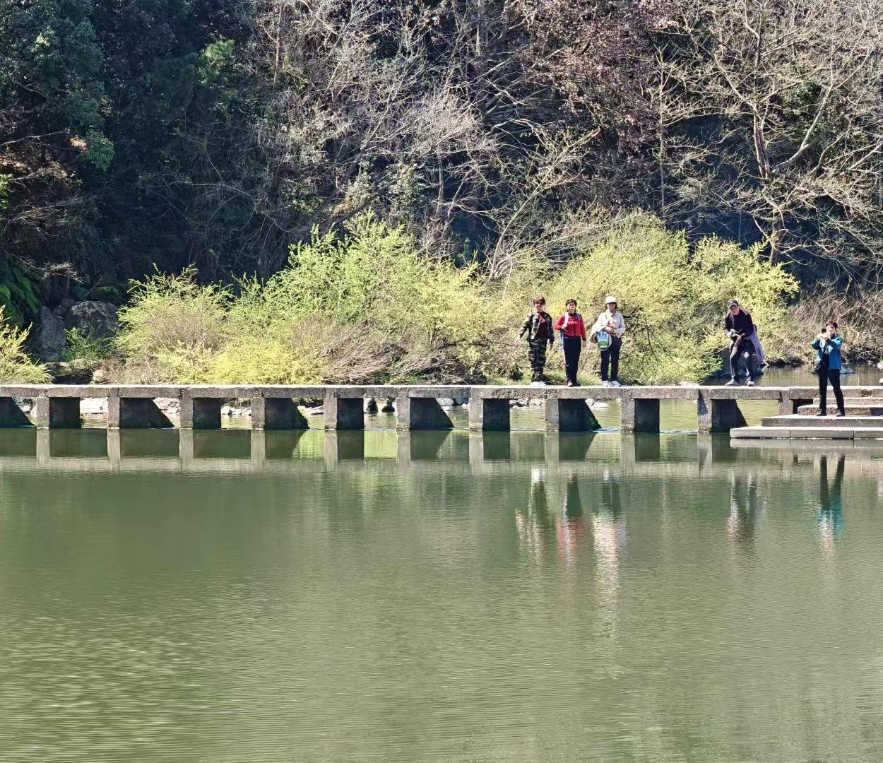 分享你随手所拍的风景春把湖水酿成绿酒，行人是酒盏上的诗行，连岸边的树影，都在波纹