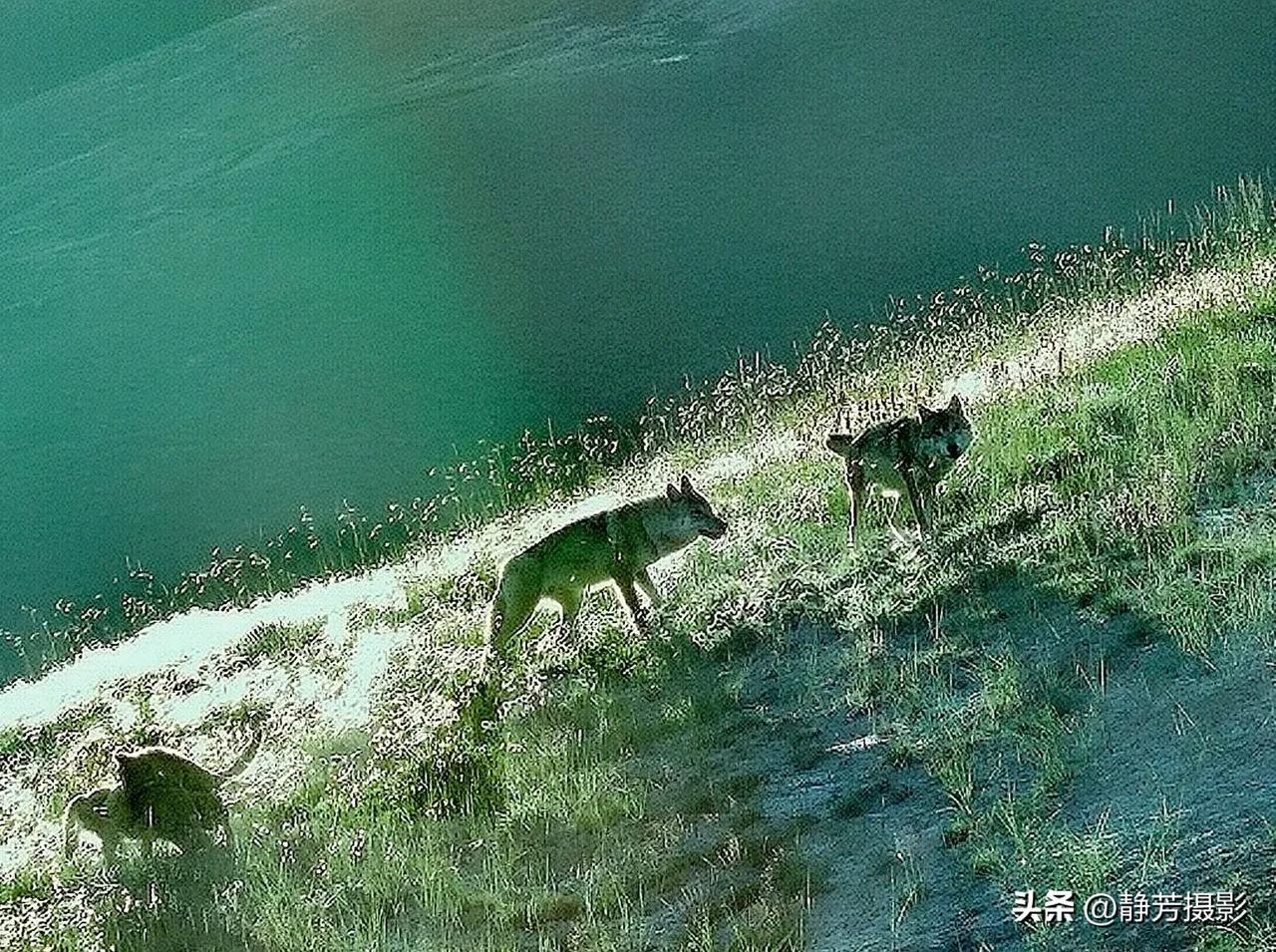 快来看看我新换的主页背景吧