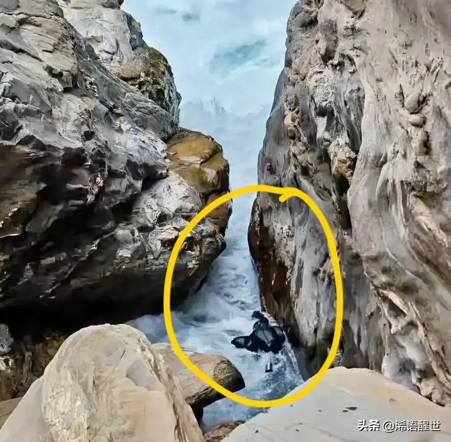 虎跳峡“发疯石”的事越查越让人心寒又生气。2月25日，一名年轻男子和女友到中虎跳