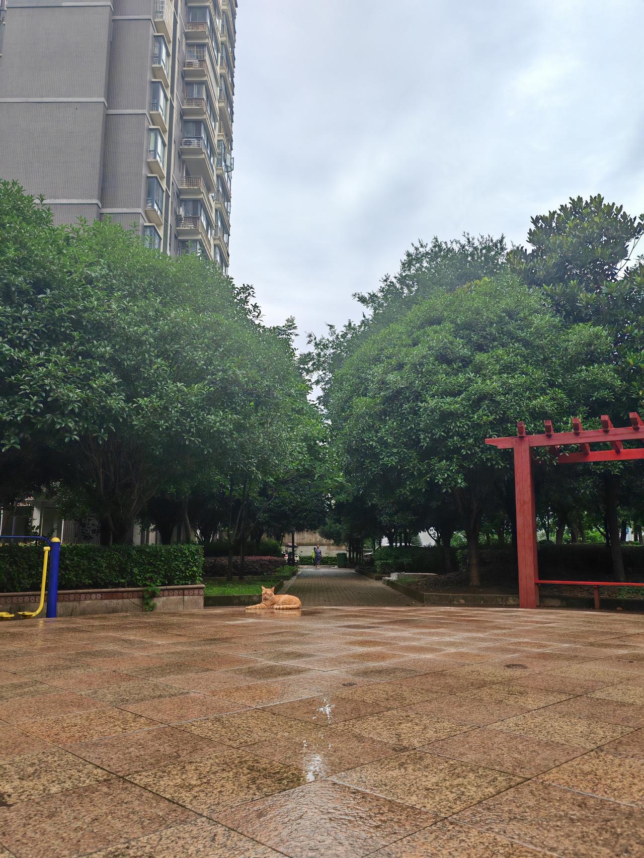 7月5日，武汉阴天有小雨，最高气温30度，最低气温25度，东南风1级，湿度96%