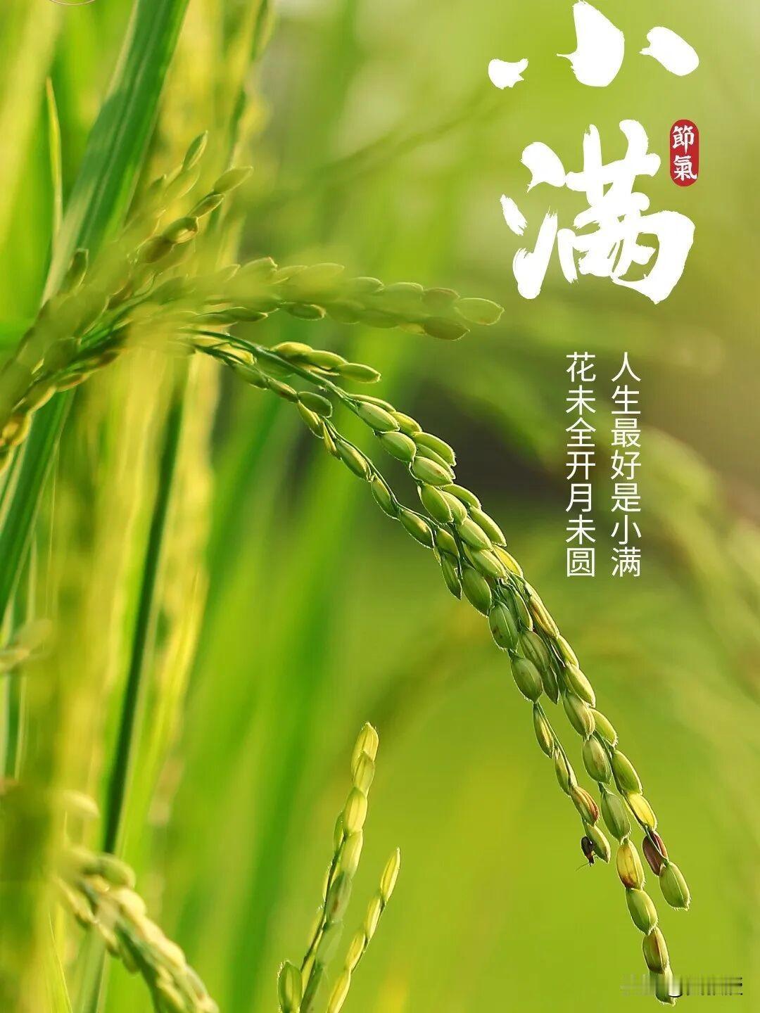 最近申请了两个荣誉
一个差一票，一个差两票
一步之遥，有些许遗憾
可是
一点也不
