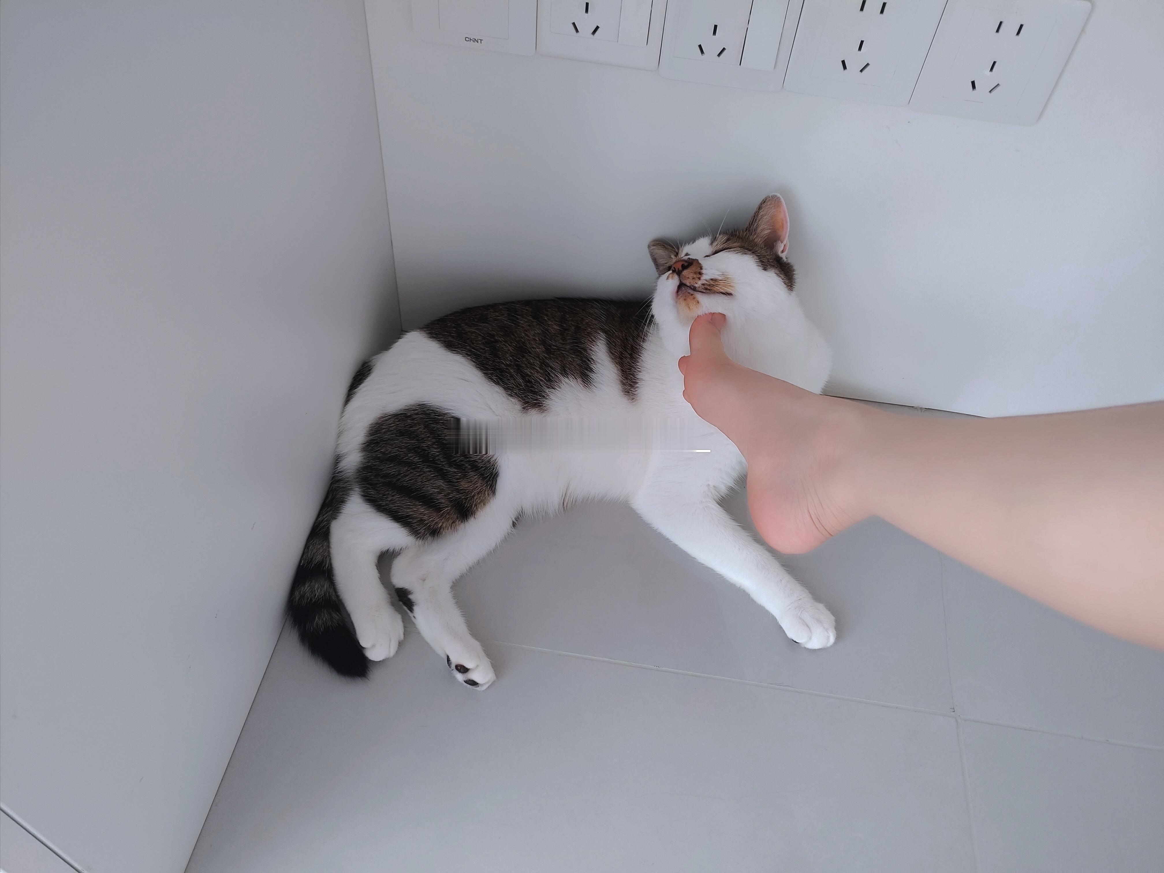嘿嘿嘿 
