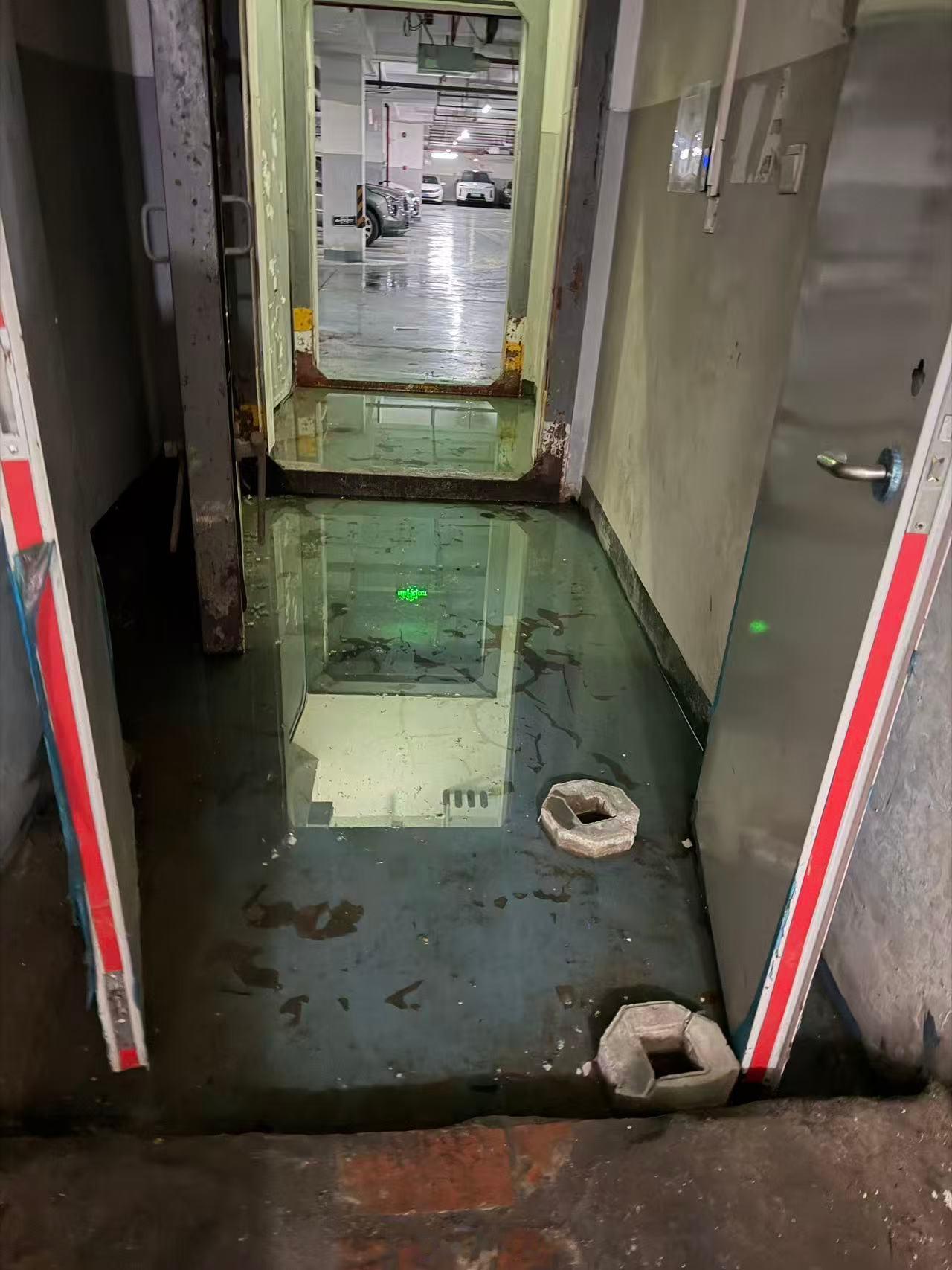 白海豚突然大拐弯让我怎么出门？车库和大门都被淹了我要去公司啊