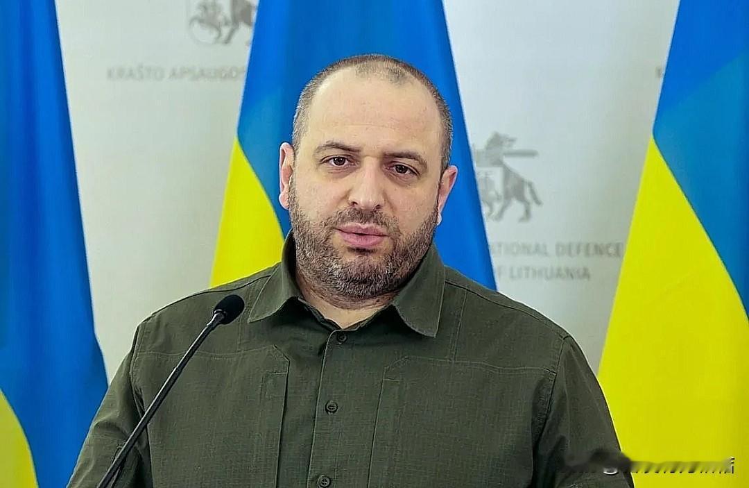 乌克兰国家安全与国防委员会秘书乌梅罗夫11月21日表示，乌方与美方代表团在基辅磋