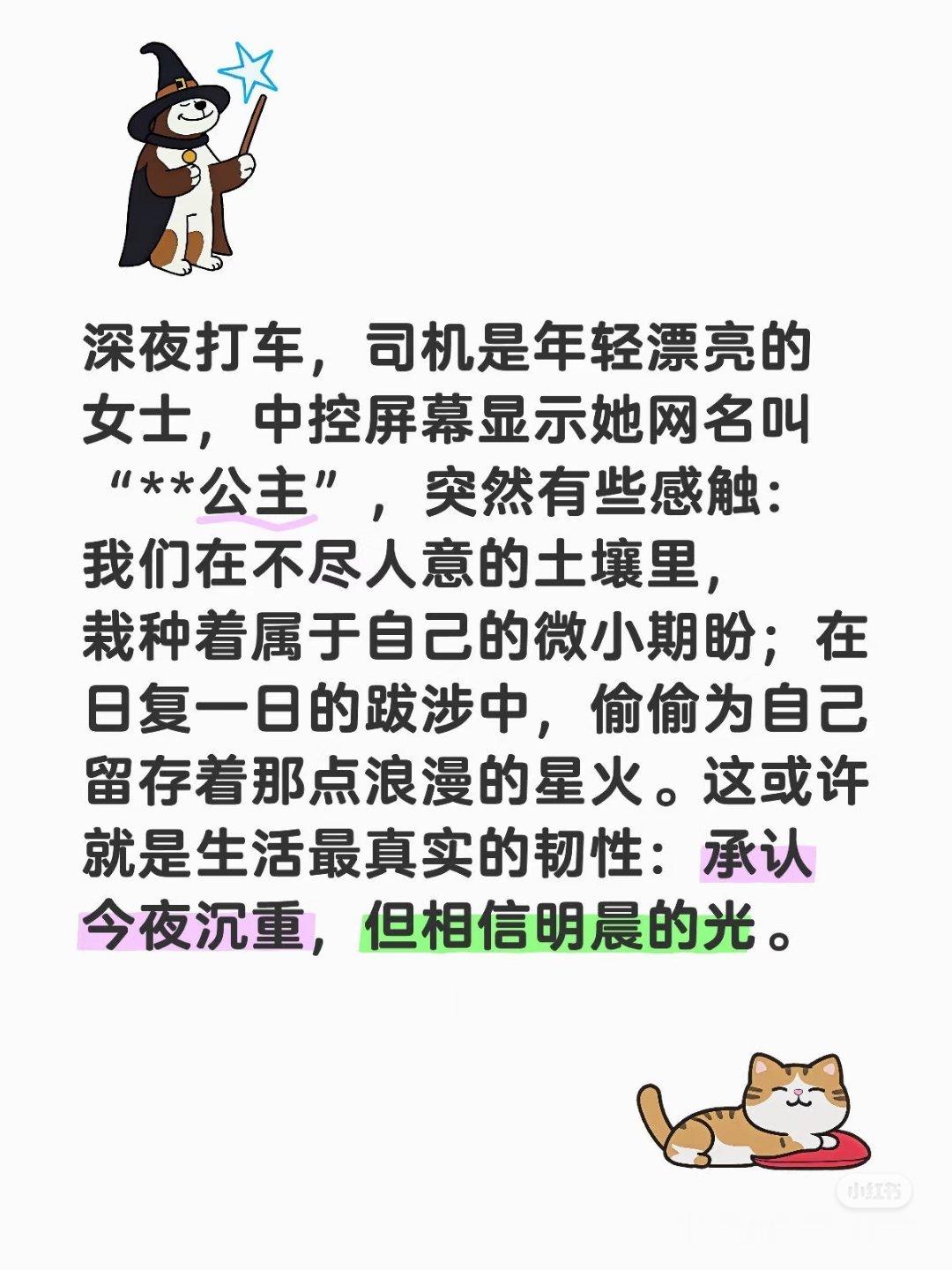 这或许就是生活最真实的韧性和浪漫吧深夜打车，司机是年轻漂亮的女士，中控屏幕显示她