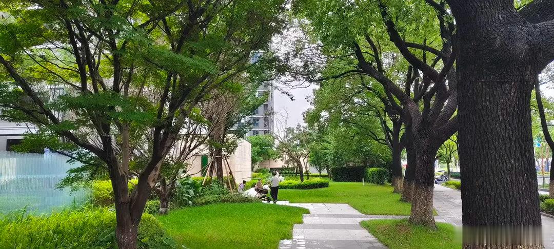 退就是进      一个开发商若是愿意腾出一小块空地，用来绿化。在入门前，让业主