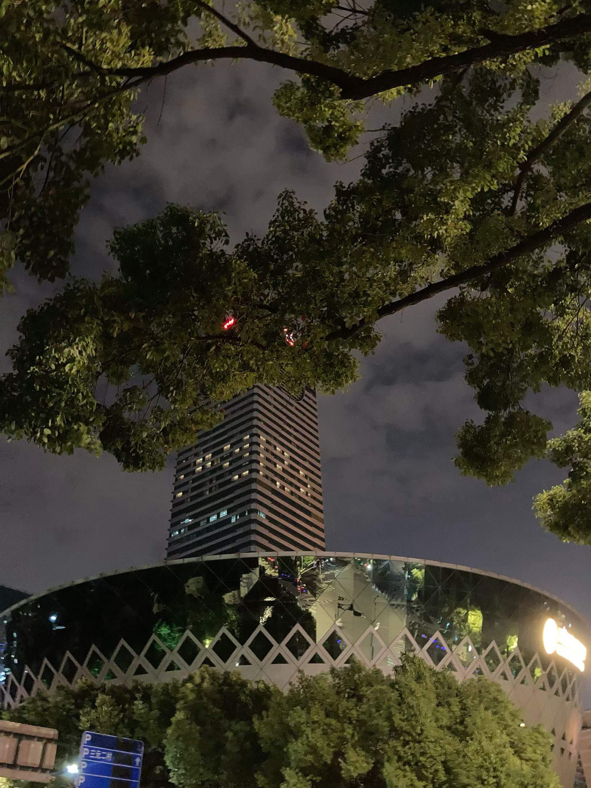 枝叶揽星河，姑苏夜未央🌌 ​​​