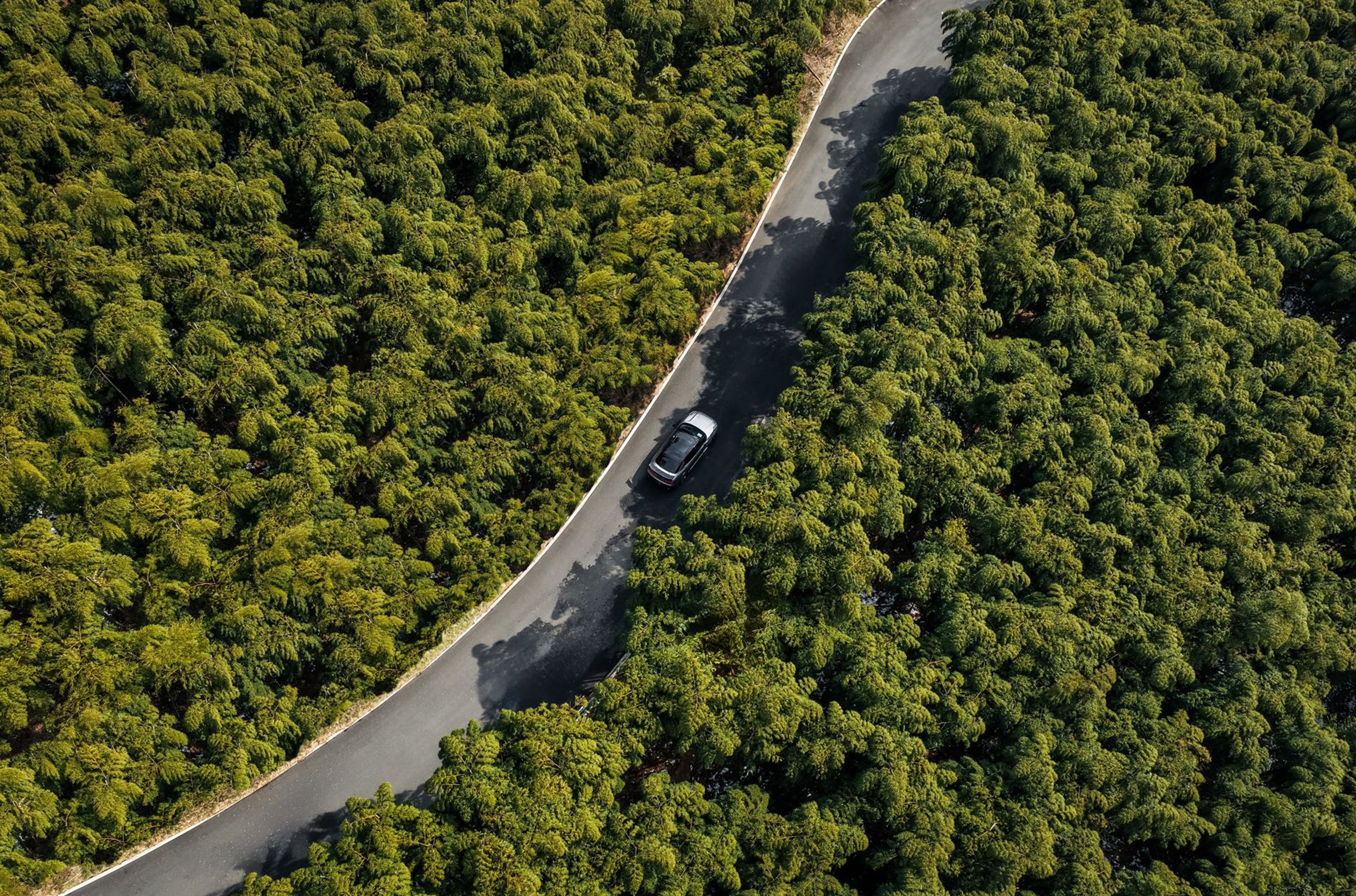 这届年轻人选车都看中什么？在繁杂的生活节奏里，车早就不只是从A点到B点的工具，而