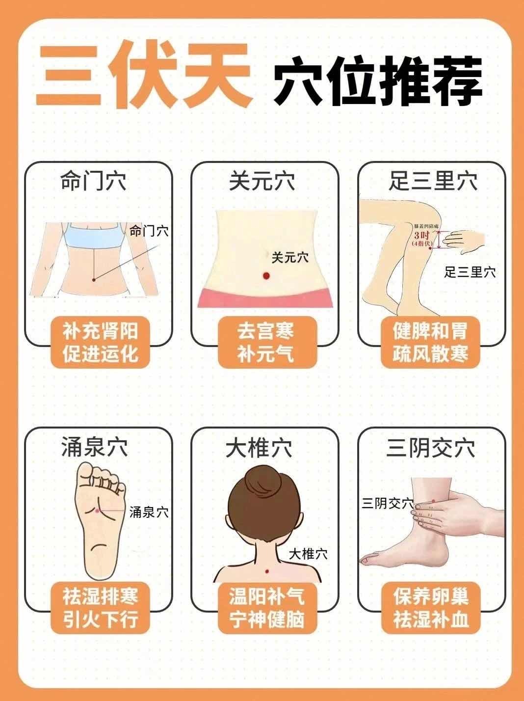 三伏天艾灸养生穴位推荐：1.关元穴：去宫寒，补元气2.命门穴：补充肾阳，促进运化