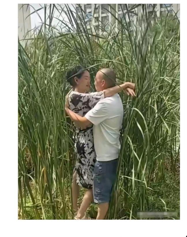 爱的深
青草棵里见真爱；
不怕蚊虫和叮咬；
更不怕热直流汗；
只要感情深到位；