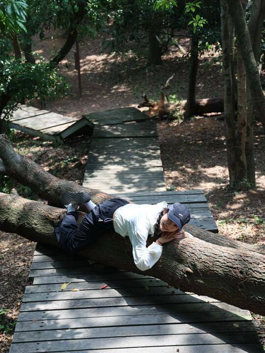 为了这颗树跑来龙华爬山