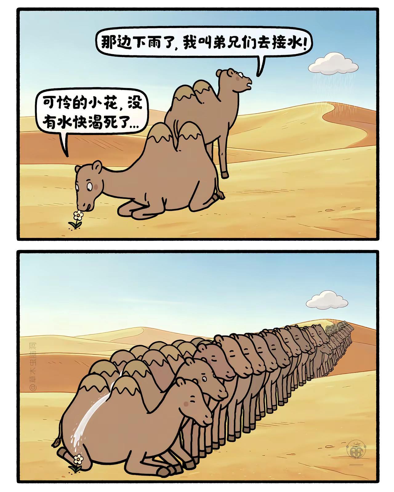 驼峰渠。嫦娥打工兔 第九三三集