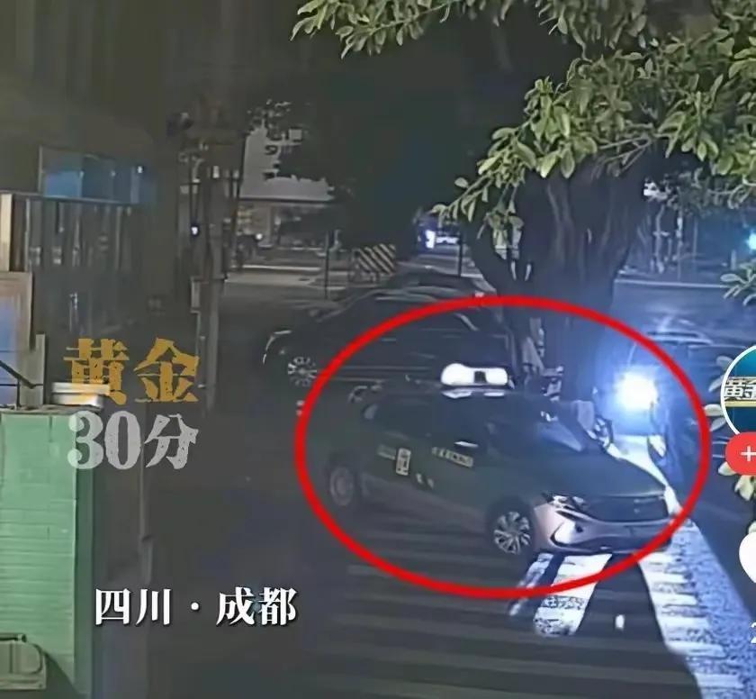 2025年5月3日，四川广播电视台《黄金30分》在社交平台发布了一段视频，奔驰女