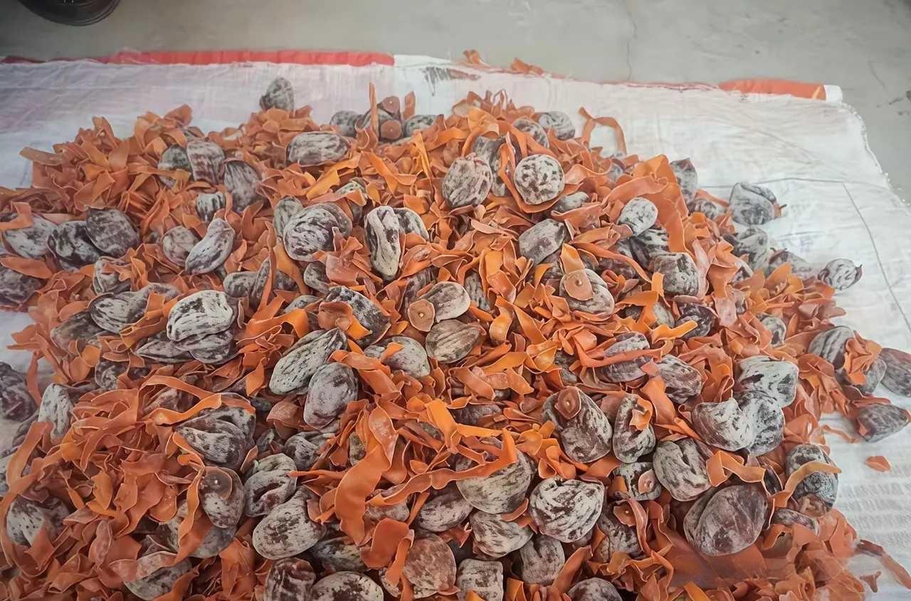 这是什么好吃的啊