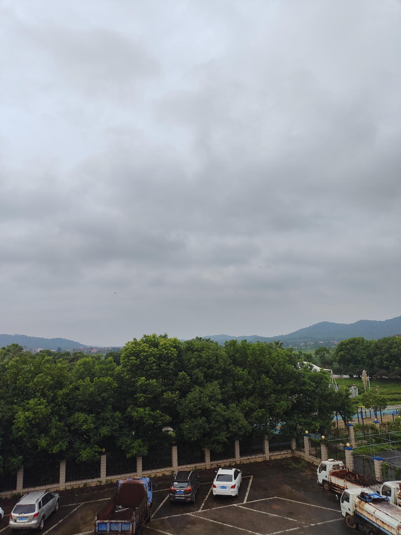 天上鸟儿飞。