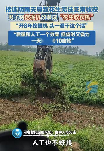 “人怎么能聪明成这样？”河南南阳，连着下雨没法正常收花生，男子灵机一动，把自家挖