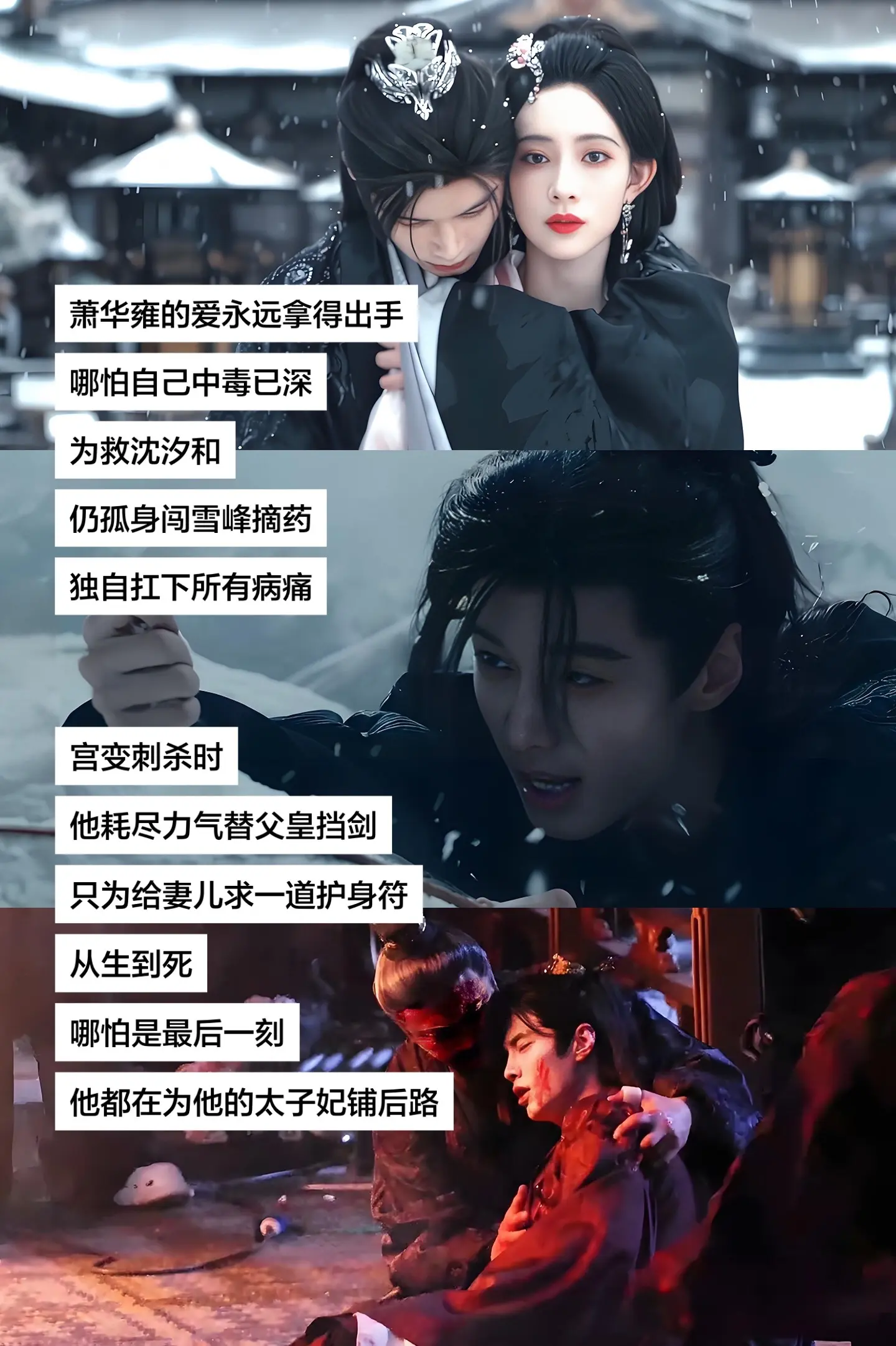 的爱永远拿得出手，哪怕自己中毒已深，为救 仍孤身闯雪峰摘药，独自扛下所...