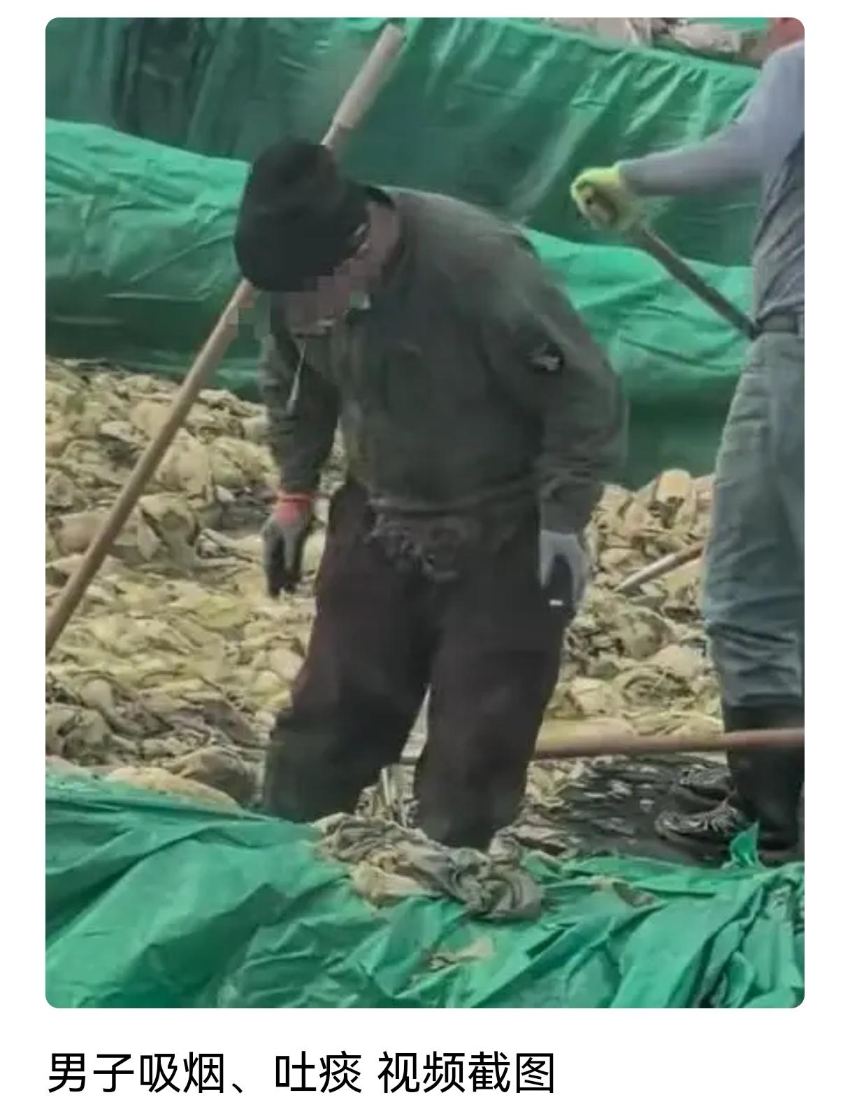 外面的酸菜可不能吃了
这回葫芦岛想不出名都不行了，一家生产酸菜的企业生产视频让人