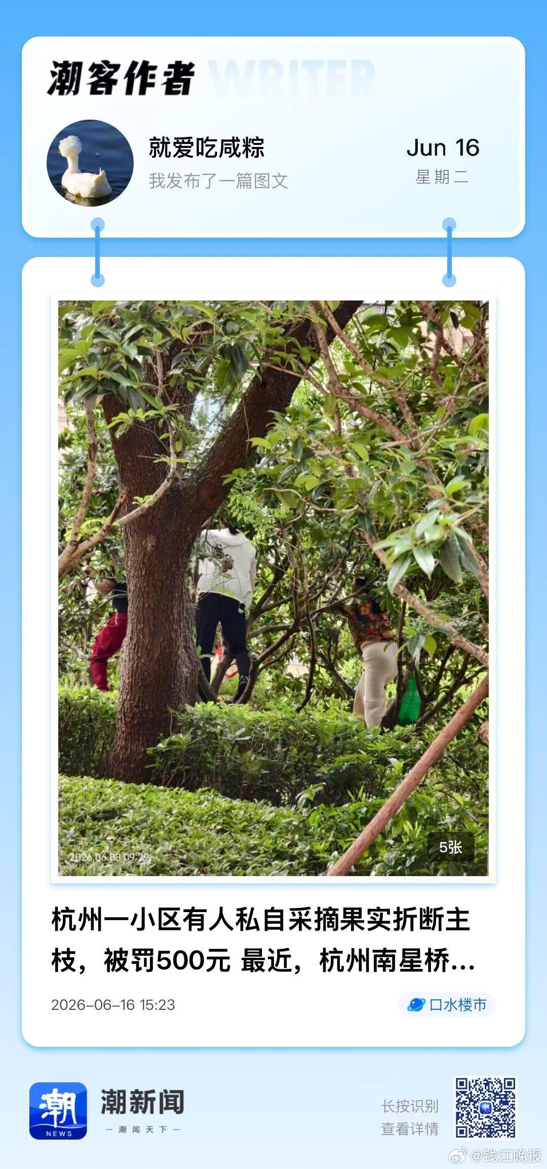 【 #业主摘果折断小区桃树赔了500块# 】 最近有网友发帖说，杭州一小区，有人