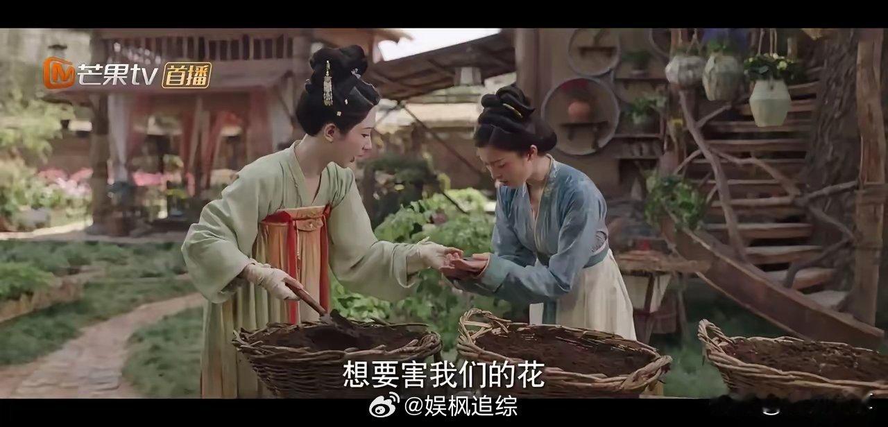 国色芳华：何惟芳的花被投入了害虫，不知道是何人所为，简直是太坏了。 胜意把矛头指