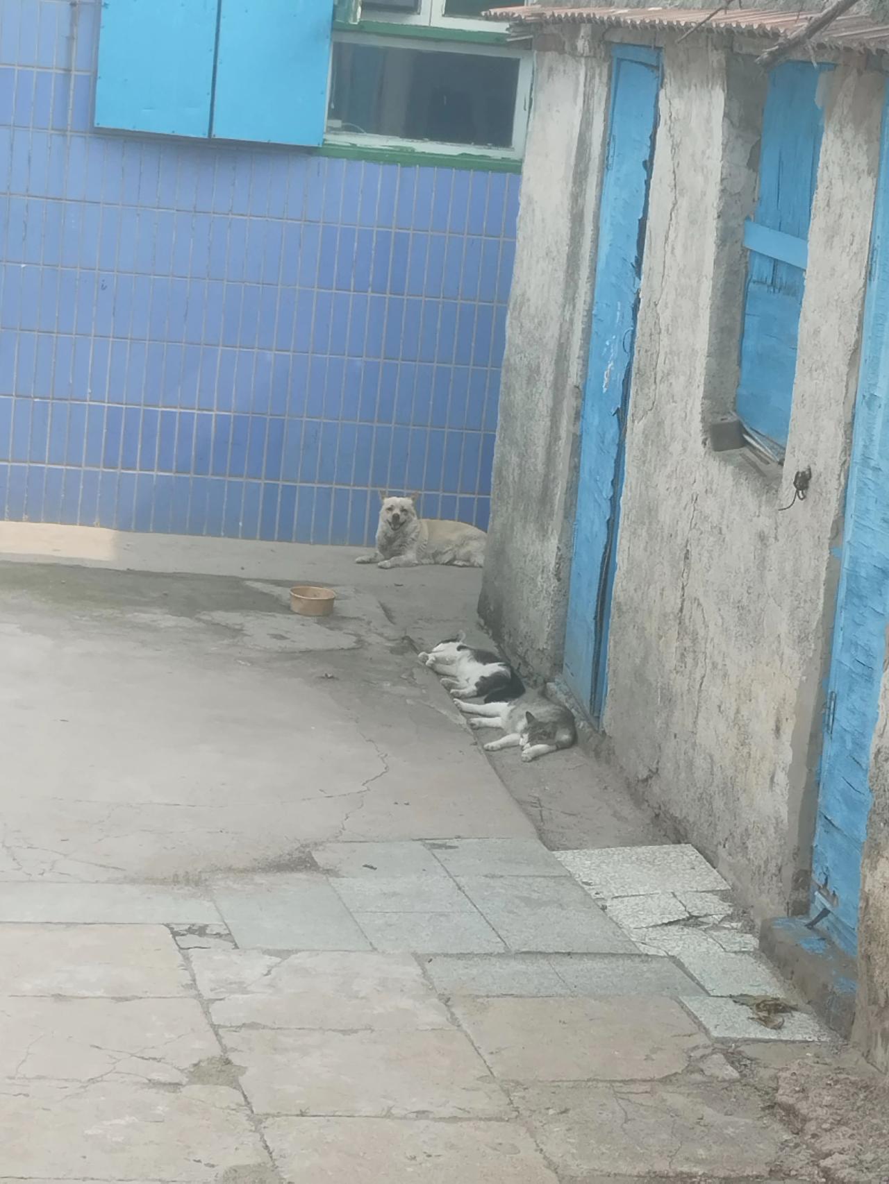 悠闲