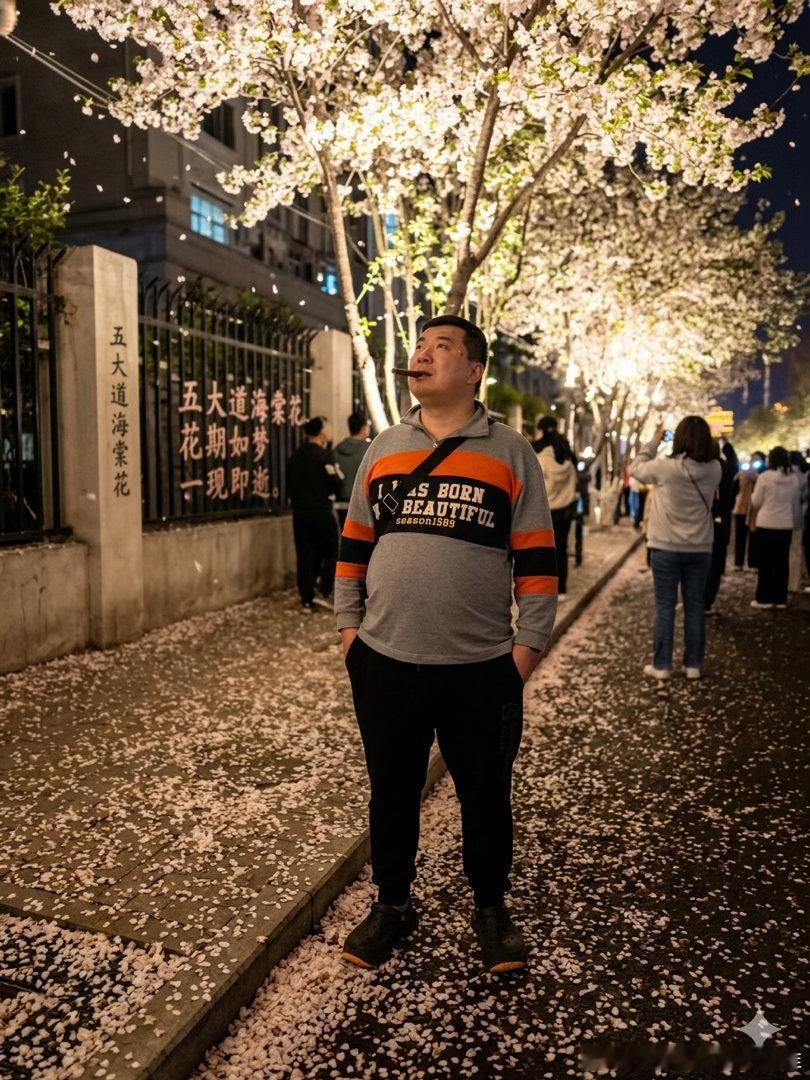 风，轻轻地吹过，海棠花瓣，如雪花般飘落，在这春意阑珊的夜，我愿与花共舞。那落了一