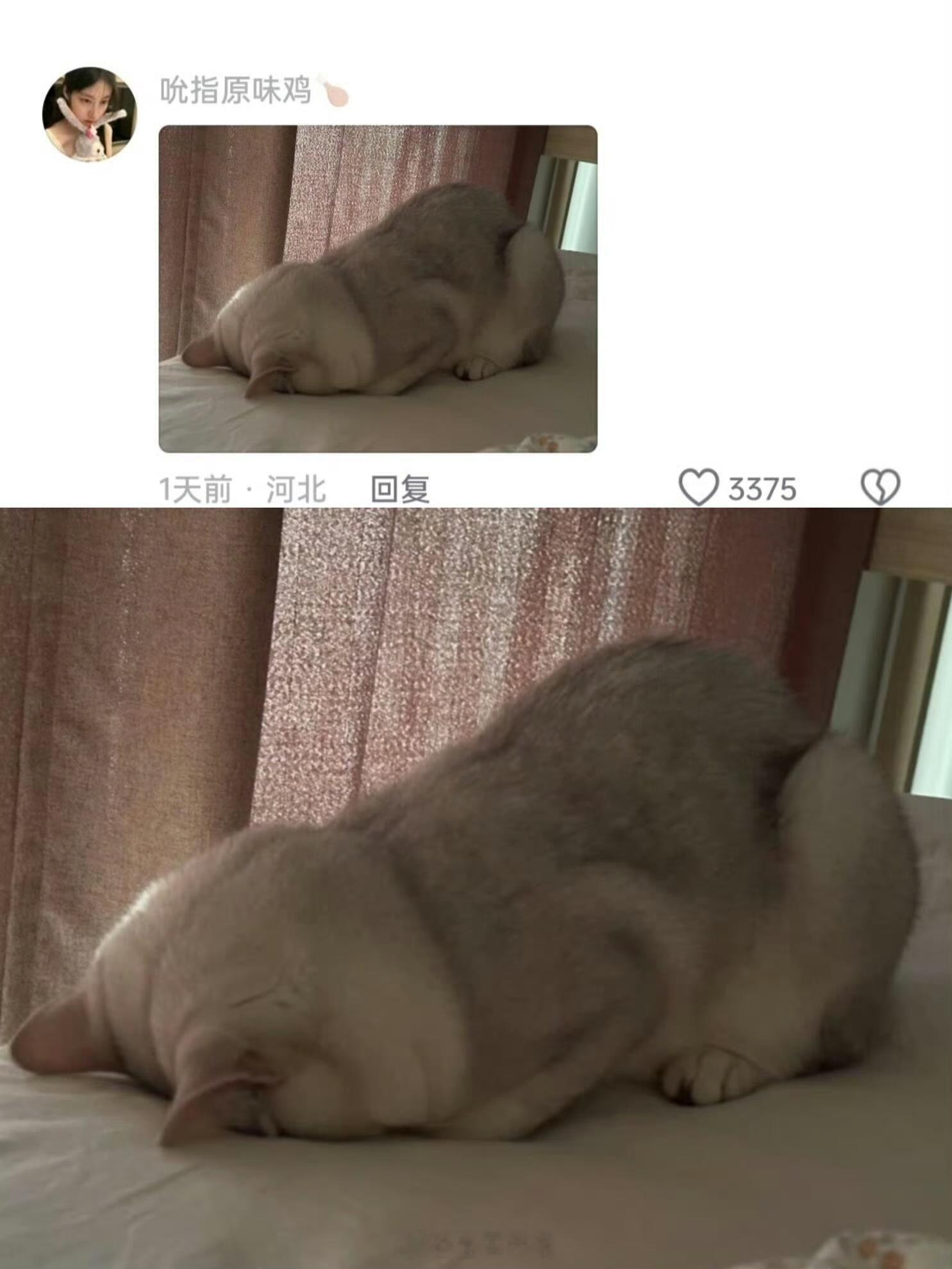 它真的好像一个小宝宝。 ​​​