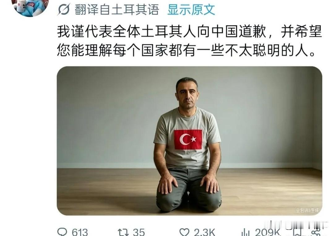 现在没点历史知识储备，在网上打嘴炮都打不赢。
经过这几天的赛博S3，很多土耳其人