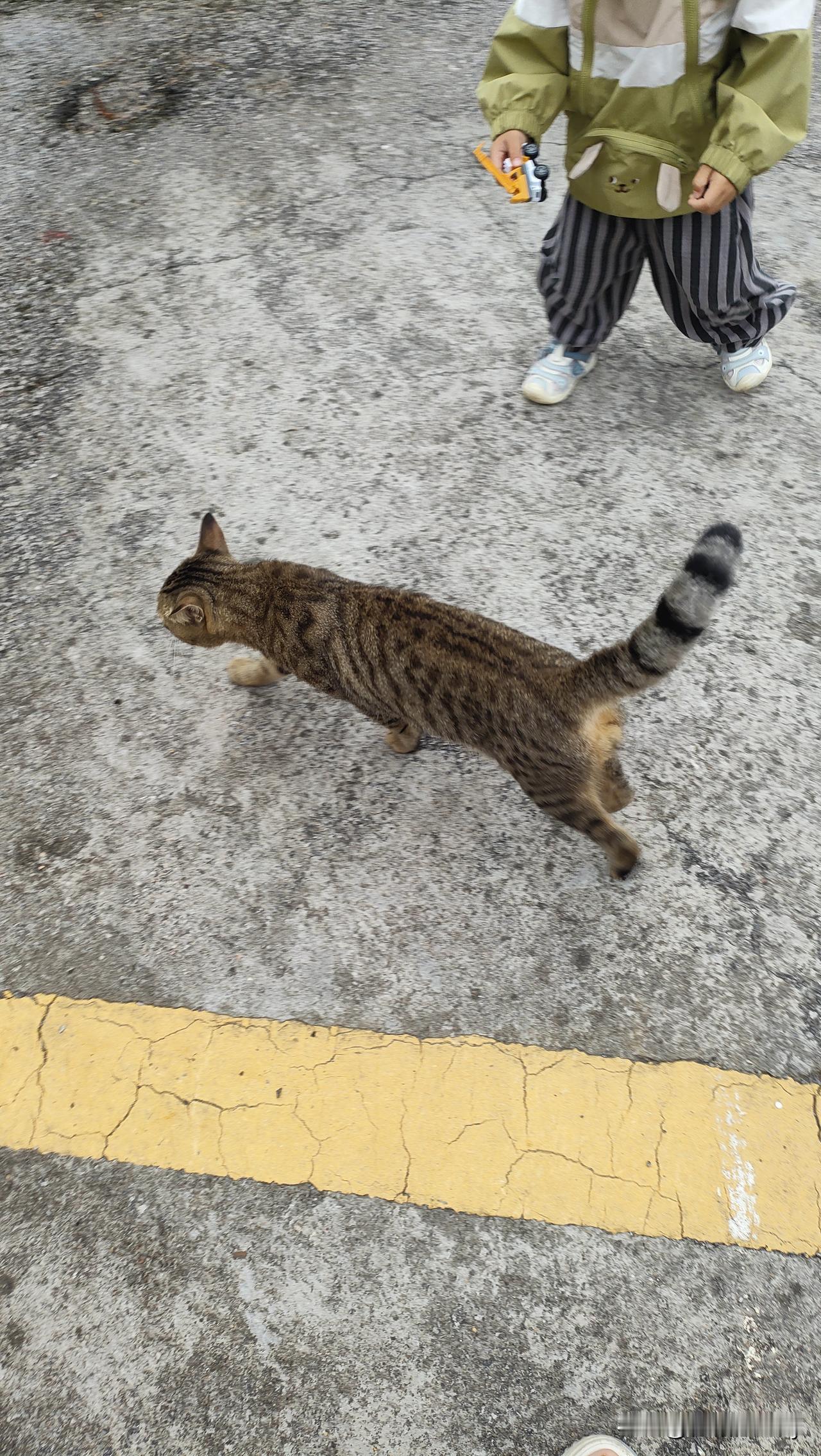 说一句带‘雪’的诗句-梅须逊雪三分白，雪却输梅一段香。