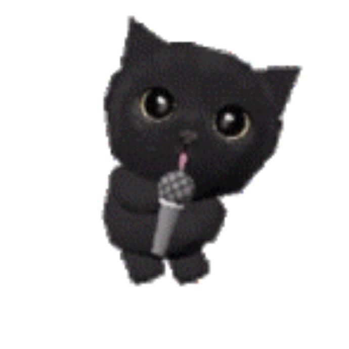 小黑猫 