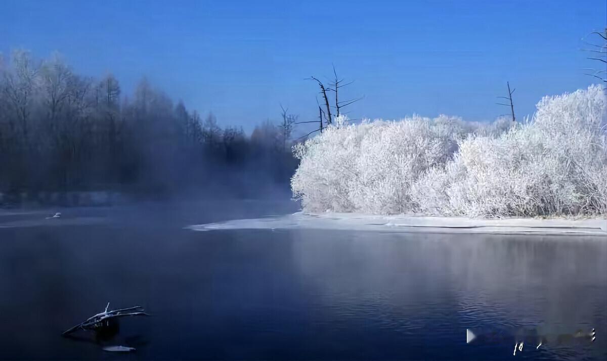 疫情3年，终于官宣，不再落地检，不再跨区查健康码：欠自己的旅行，终于要还了。
中