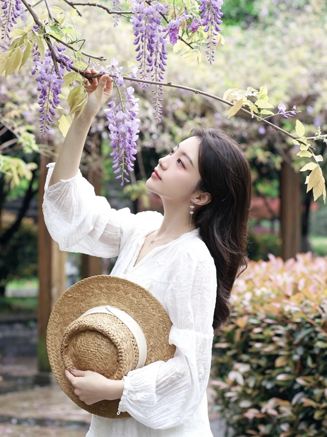 宜春 4月的紫藤花🫟春日限定