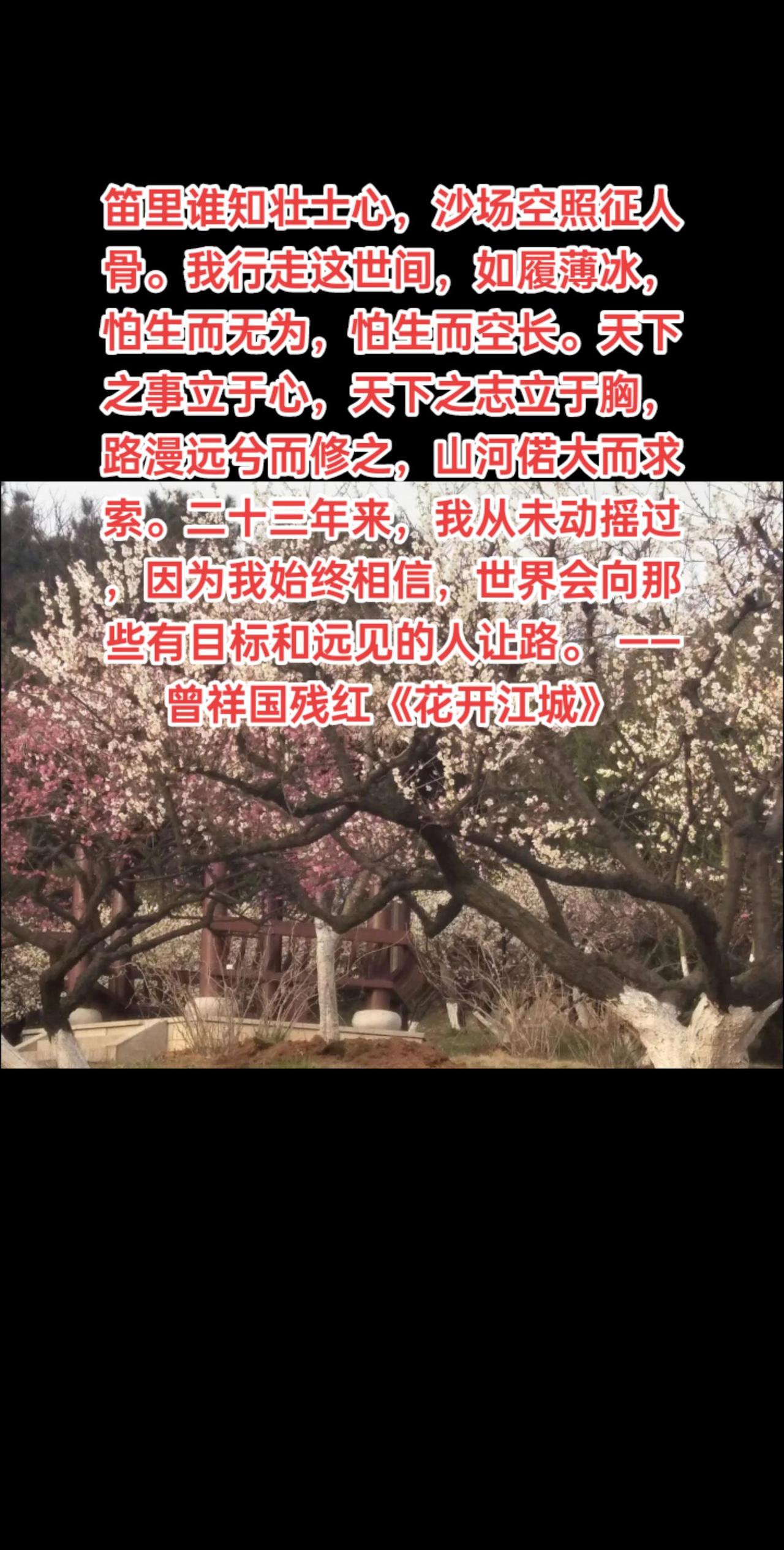 笛里谁知壮士心，沙场空照征人骨。我行走这世间，如履薄冰，怕生而无为，怕生而空长。