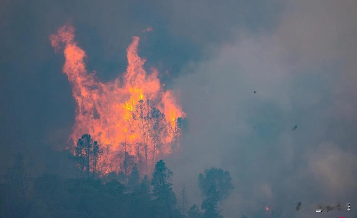 《魔戒》取景地突发大火，1000公顷火山秘境告急！
 
谁能想到，电影《魔戒》里