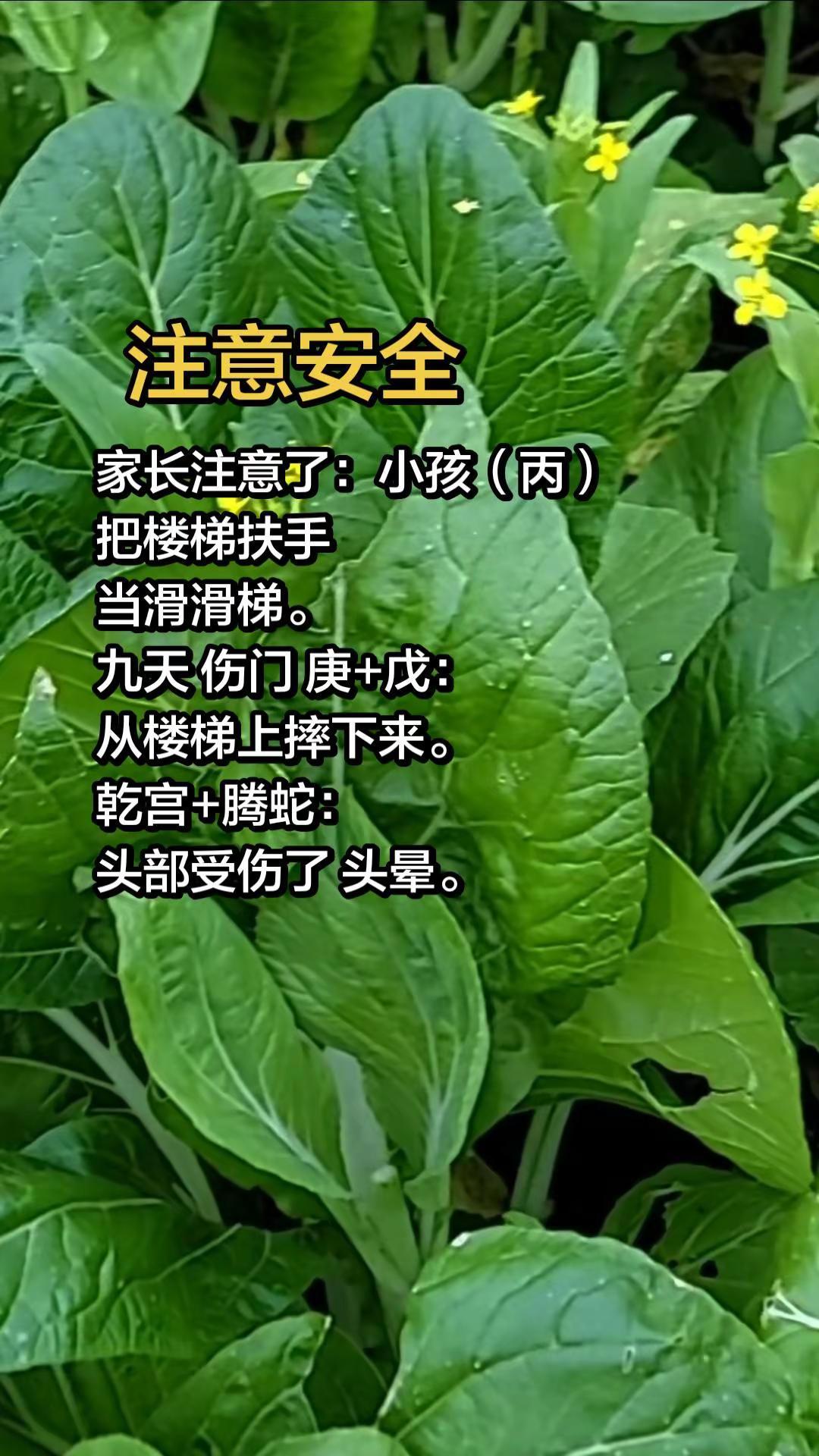 看好孩子。安全