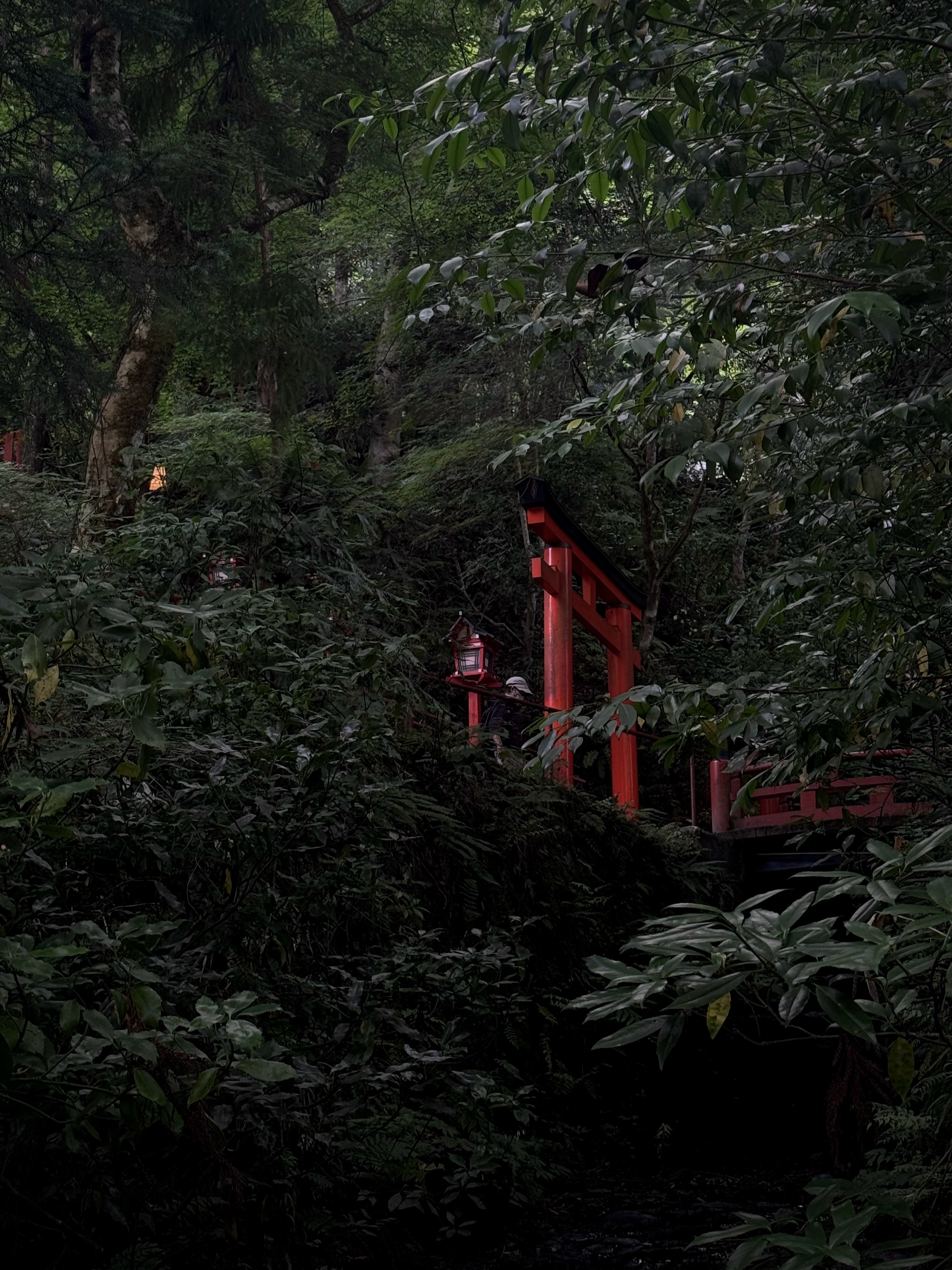 🌲⛩️🌲 日本·京都