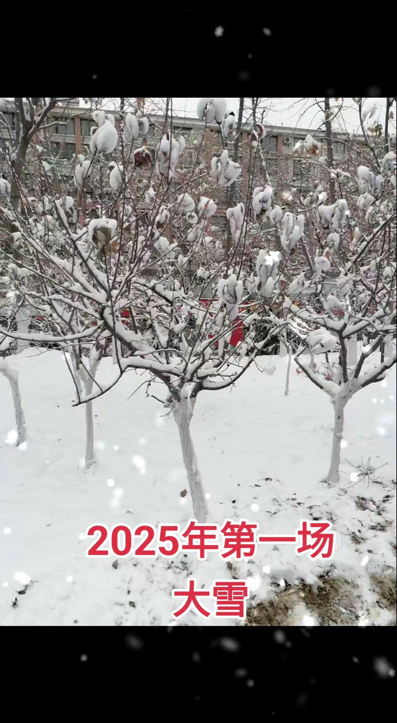 一场大雪好美！