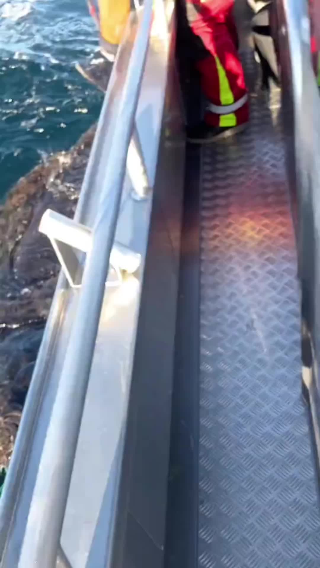 钓鱼的乐趣只有钓鱼人懂
