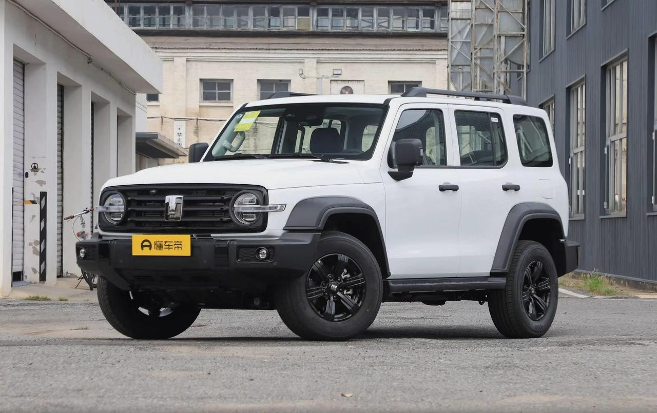 想买辆二手坦克300，但看花眼了——征服者、挑战者、城市版、柴油版，到底该选哪个