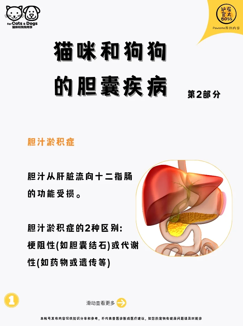 猫咪和狗狗的胆囊疾病-第2部分