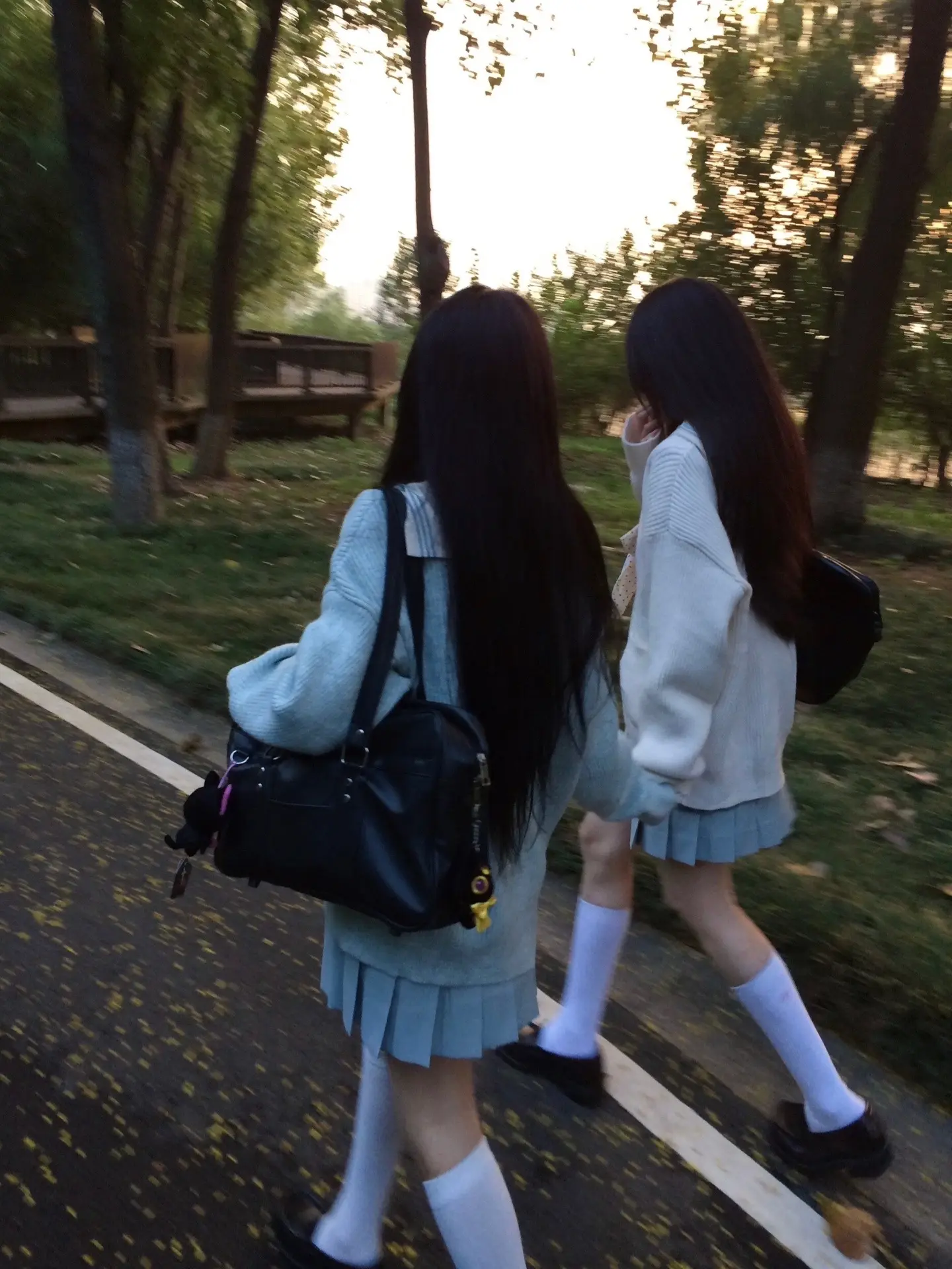 日落 散步 我们