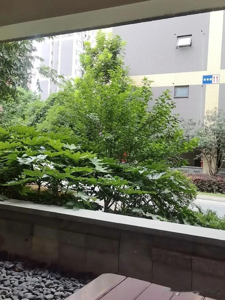 现在的年轻人都是这么自私吗？

早上起来洗了衣服，拖了地，出门透了会气，买了一盒