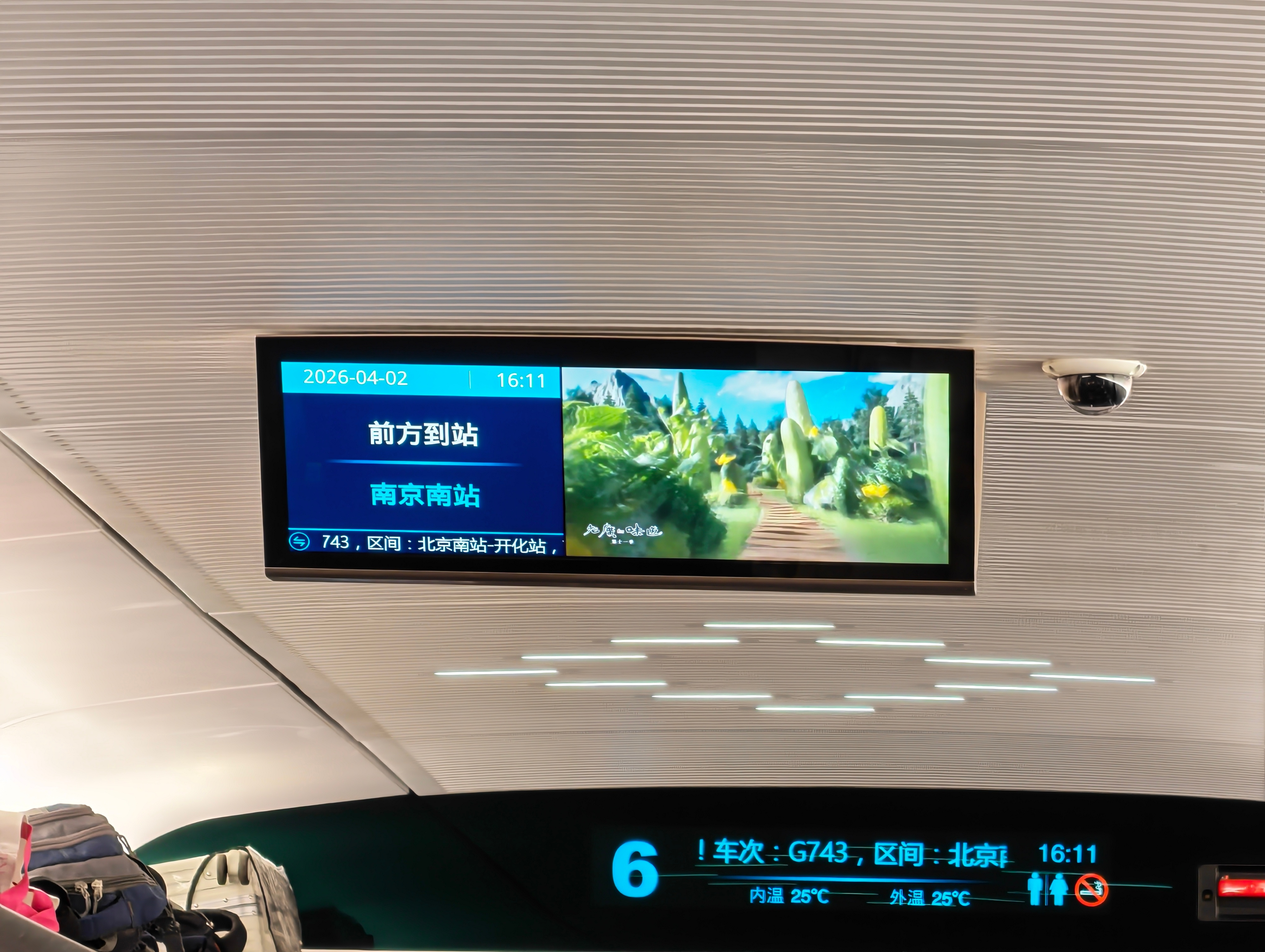 出差前忘记看南京第二天的天气了，今天还是24度呢，明天降温就剩16度了