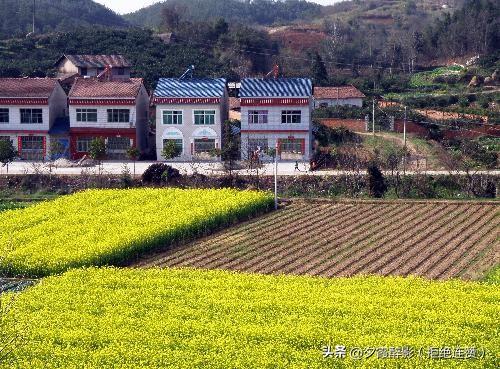 别慌！中央严查宅基地，不是为难咱普通农民
 
不少老乡刷到“中央严查农村宅基地”