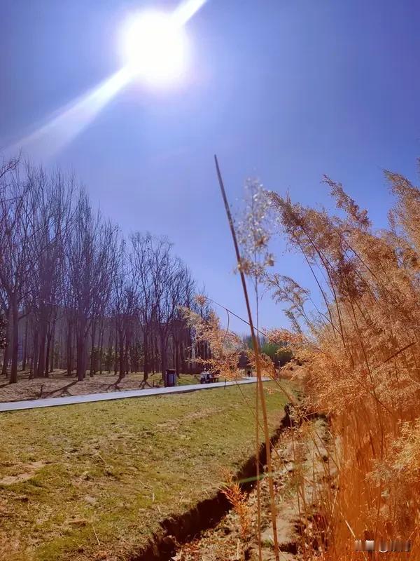 这上联“送走冰天雪地”和下联“迎来春日暖阳”对得太妙啦！“送走”对“迎来”，动作