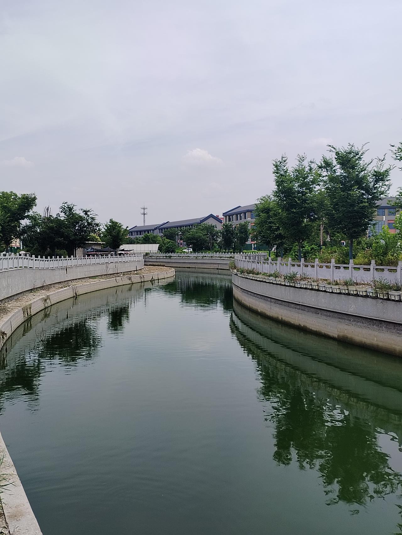 今天上午去沈丘槐店回族镇南关小学去接孙子，提前十分钟来到南关小学校门口，利用空闲
