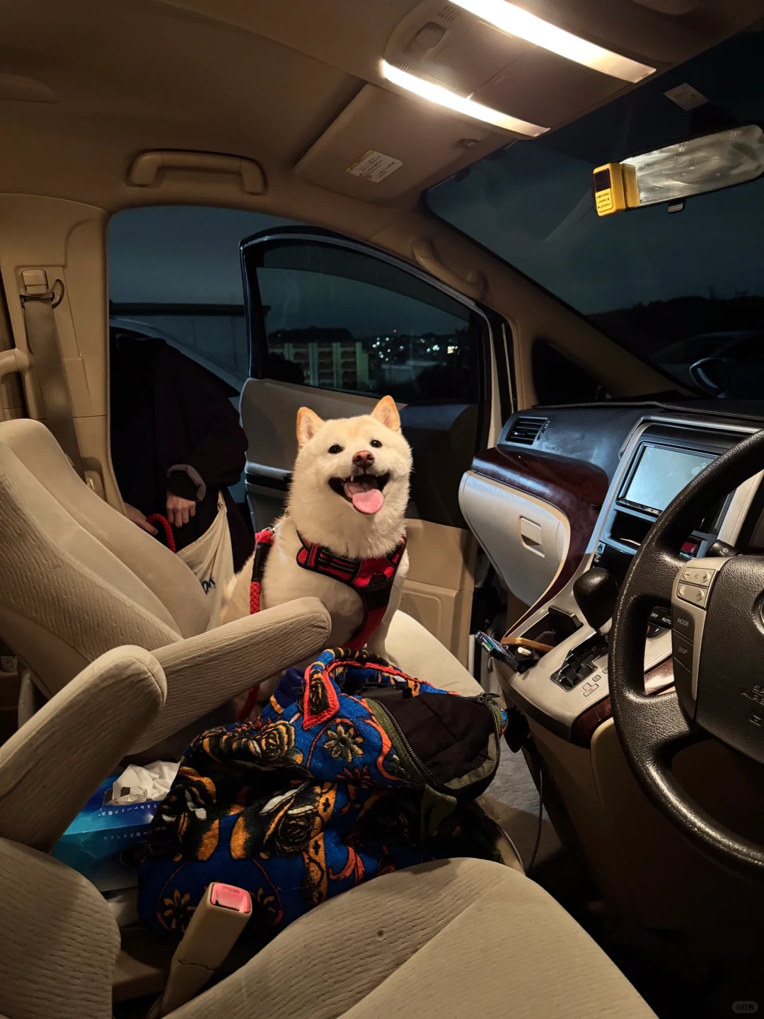 🚗