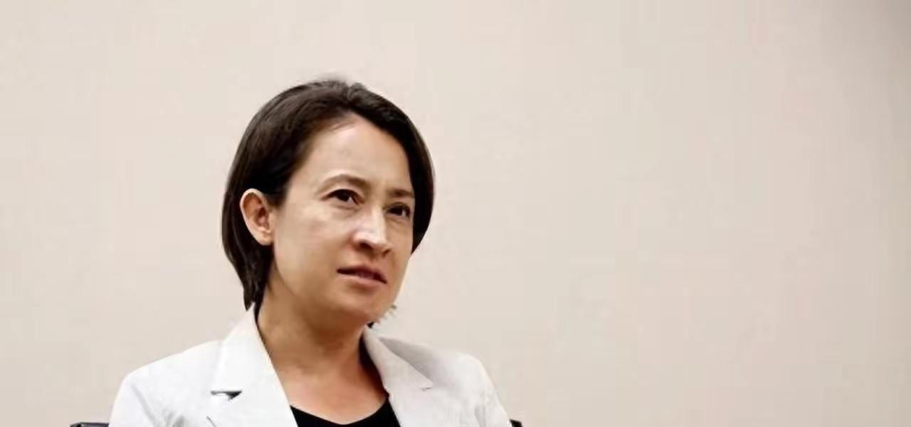 萧美琴开口就大放厥词，不自量力。针对赖清德无法窜访非洲小国，萧美琴表示，台湾人与